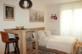 Downtown Apartment - Novi Sad - 9