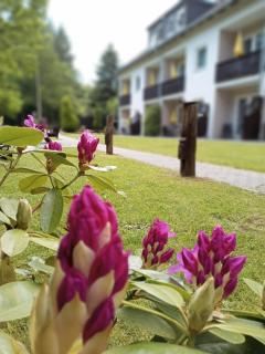 Gästehaus Falkenhof - Westensee - 3