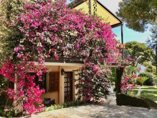 Charming Villa Saint-Jean-Cap-Ferrat - Saint-Jean-Cap-Ferrat - 9