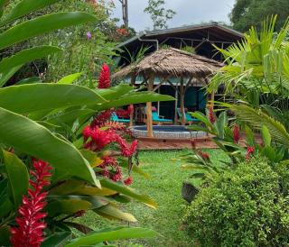 Casa Mambo - Cahuita - 0