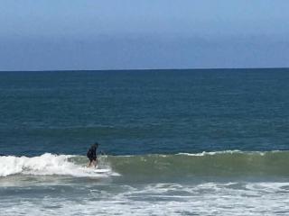 Blue Whale Inn San Clemente Charmer Unit A - San Clemente - 3