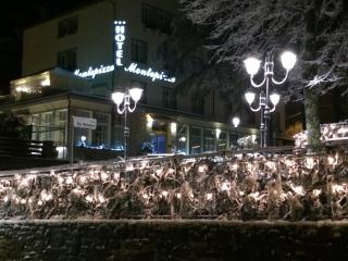 Hotel Montepizzo - 8