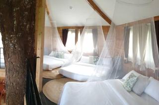 CAMP TREEHOUSE • COTTAGE • POOL • JACUZZI - Antipolo - 8