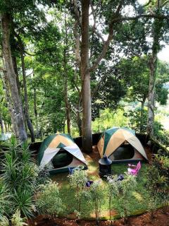 CAMP TREEHOUSE • COTTAGE • POOL • JACUZZI - Antipolo - 2