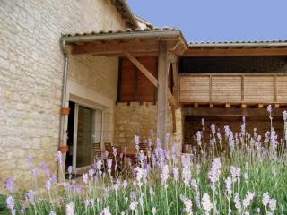 Gîte avec Piscine Chauffée, Jacuzzi et Jardin Privé - FR-1-653-156 - 8