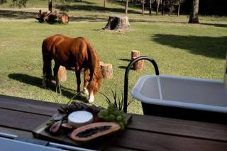 Farm & Sea Studio - Pyree - 8