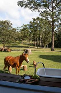 Farm & Sea Studio - Pyree - 1
