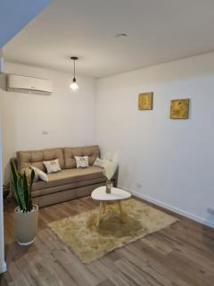 Departamento amoblado microcentro del alto - 9