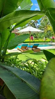 TAMAN EDEN COTTAGE - Ubud - 5