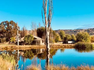 Hillview Cottage - - 9