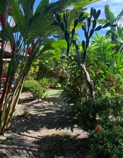 Casa Mambo - Cahuita - 4