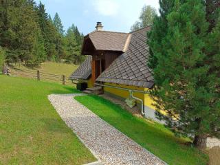 Holiday home in Prebl Carinthia near ski area - Prebl - 1