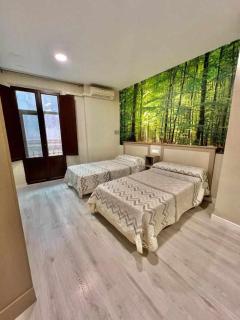 Hostal Viena Plaza Nueva - 9