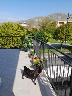 A Casa di Falco - Mondragone - 6