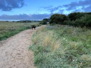 Sied Potio - Newborough - 6