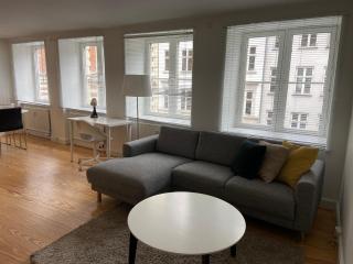 Lovely and Homey Apartment in the heart of Copenhagen - 2