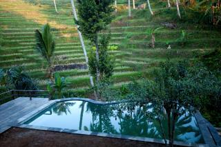 Be Bali Stay - Ubud - 7