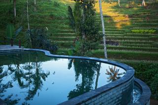 Be Bali Stay - Ubud - 4