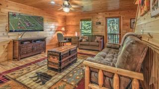 Sage Elk - Mineral Bluff - 7