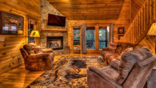 Sage Elk - Mineral Bluff - 6