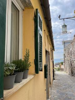 Vittoria 19 - 2