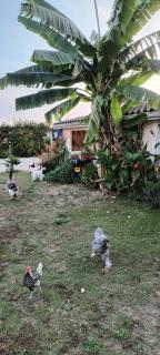 Logement T2 Indépendant meublé RDC - 2