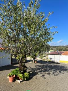 Hospedaria O Castelo - Portel - 7