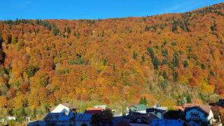 Apartament Erika Sinaia - Sinaia - 6