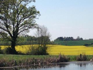Ferienwohnung 2 am Herrenhaus Ahrensbök - 4