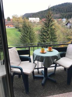 Apartman Bosco - Ravna Gora - 4