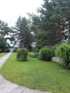 Дом в лесу на берегу Днепра для отдыха с купелью на дровах, аппартоменты - 5