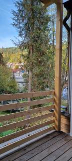 SM3 Apartment - Triberg - 5