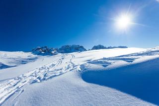 Hotel Splendid - Madonna di Campiglio - 4