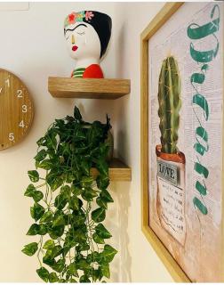 Frida Guest House - 2