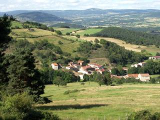 Maison pittoresque avec terrasse et BBQ, calme près de Langeac - FR-1-582-124 - Langeac - 4