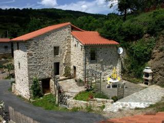 Maison pittoresque avec terrasse et BBQ, calme près de Langeac - FR-1-582-124 - Langeac - 2