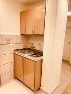El mansour hotel apartmen 91 - Mansoura - 1