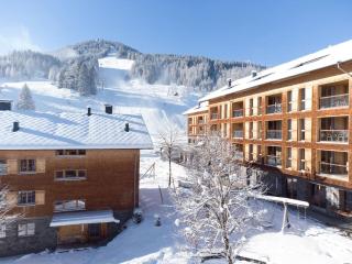 Landal Brandnertal - 9
