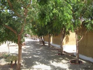 Umbi Sharks Bay Diving Village - Sharm el Sheikh - 8