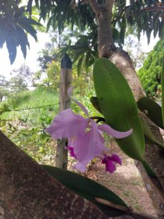 Las cabañas del escobo - CABAÑA TUCÁN - 2