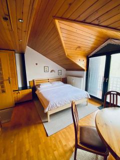 Apartma Snežinka - Kranjska Gora - 0