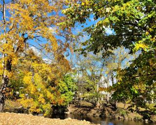 Hanky-Panky-A Riverfront Cabin w Hot Tub & Free Tickets-Pet Friendly - Pigeon Forge - 1