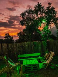 Mzetamze Forest - Mzet'amze - 1