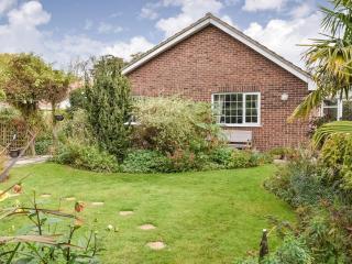 Chimney Springs - Ormesby Saint Michael - 8