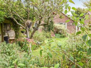 Chimney Springs - Ormesby Saint Michael - 3