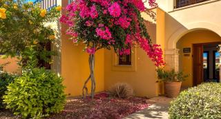 Ground floor Apartment Anthos with Beautiful Sea Views on Aphrodite Hills Resort - Kouklia - 6