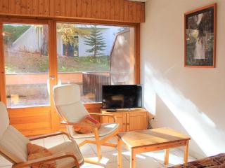 Appartement 2 Pièces Coin Montagne, Terrasse Sud, Parking Privé, Proche Centre et Pistes à Vars Les Claux - FR-1-330B-64 - Vars - 8