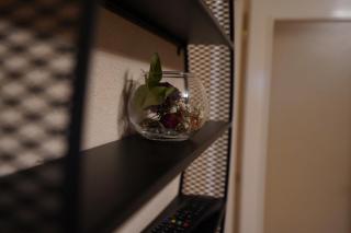 Apartmani Tomić - Kladovo - 5