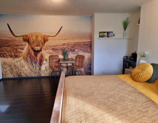 De Schotse Hooglander - Smilde - 8