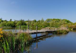 Bwthyn Gwyn - Llanerchymedd - 1